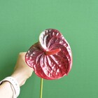 Flor Artificial Haste Antúrio 3d | Linha Permanente Formosinha